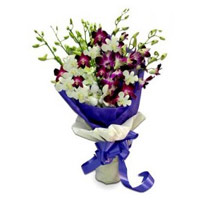 Diwali Flower Delivery in Bangalore. Purple White Orchid Bunch 10 Flowers to India with Stem