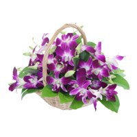 Send Flower in India - Orchid Basket