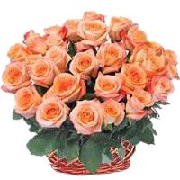 Same Day Peach Flower Delivery in India