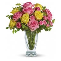 Online Pink Roses to India