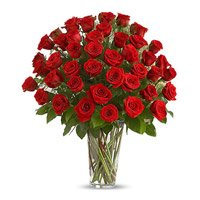 Roses Delivery in India 