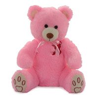 Deliver Soft toys in India