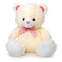 buy Soft Toys in India