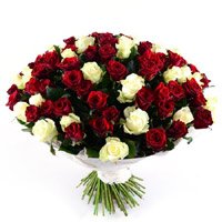 Send New Born Flowers to Delhi. Red White Roses Bouquet 100 Flowers in India