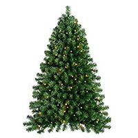 Christmas Gifts in India