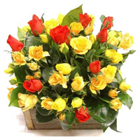 Online New Year Flower Delivery in India