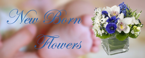 New Born Flowers in India