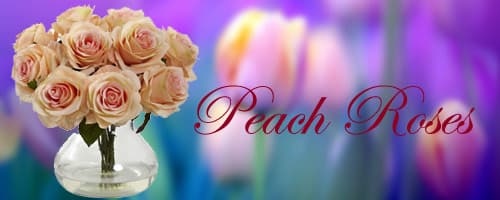 Peach Roses to India